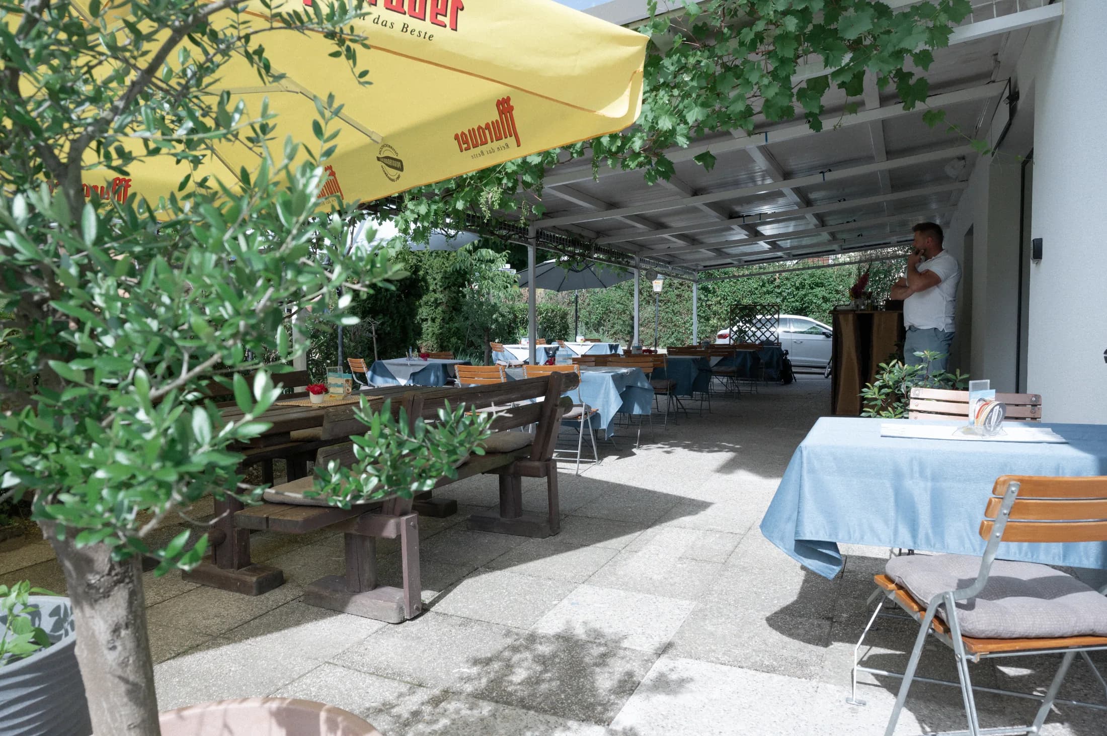 Gastgarten mit Olivenbaum und schattigen Plätzen